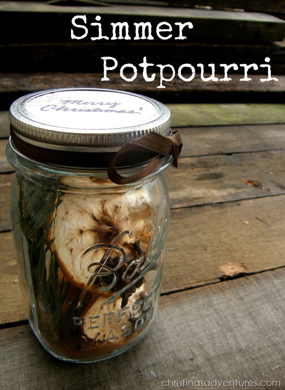 Simmer Potpourri {holiday entertaining and gift idea}