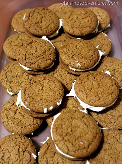 gingerbread cookies in container