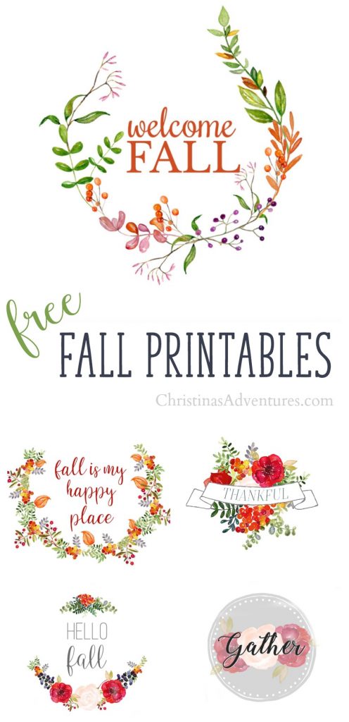 Download these free fall printables with gorgeous rich colors and florals - perfect for your fall home decor!