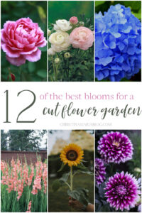 Best picks for a cut flower garden