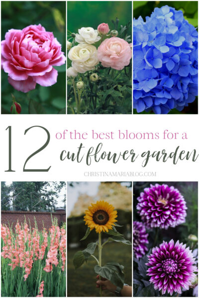 Best picks for a cut flower garden - Christina Maria Blog