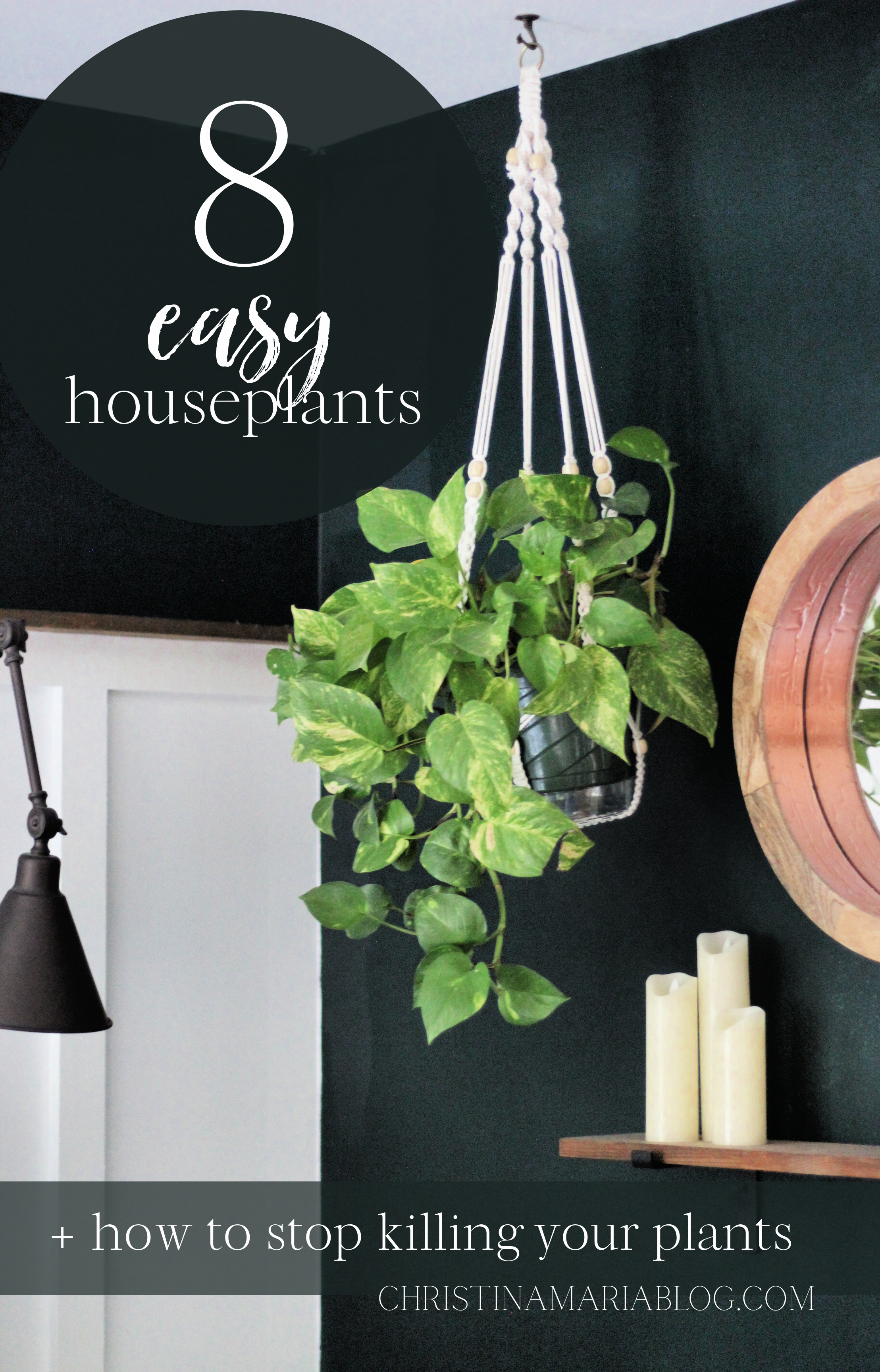 https://christinamariablog.com/wp-content/uploads/2020/07/8-easy-house-plants.jpg