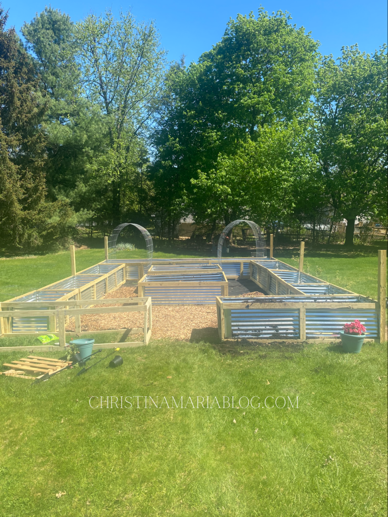 backyard raised garden beds progress
