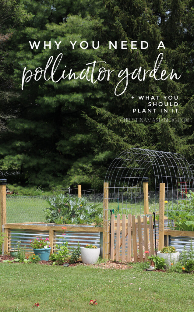 pollinator garden