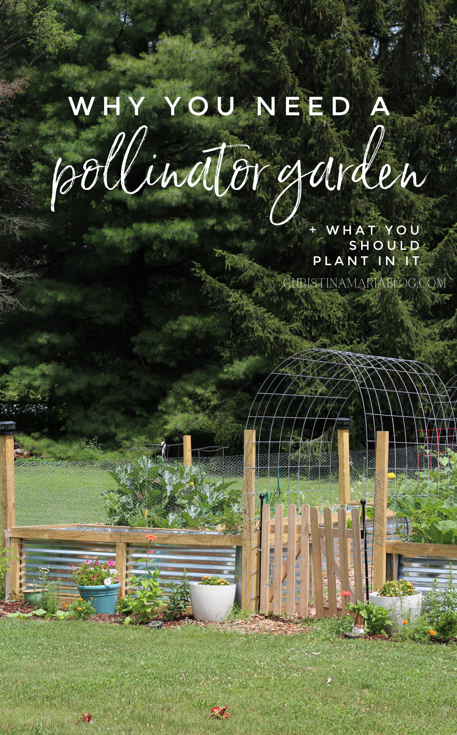 Pollinator Garden : Why you need one, and what to plant in it ...