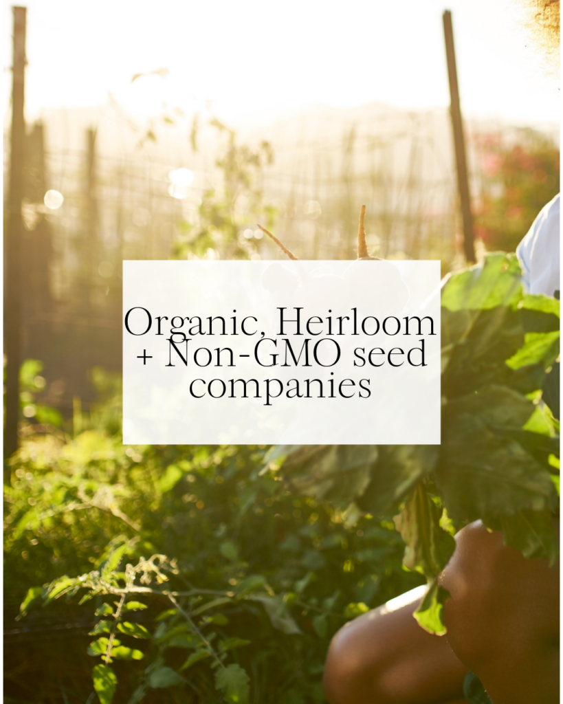 Organic heirloom and non GMO seed companies