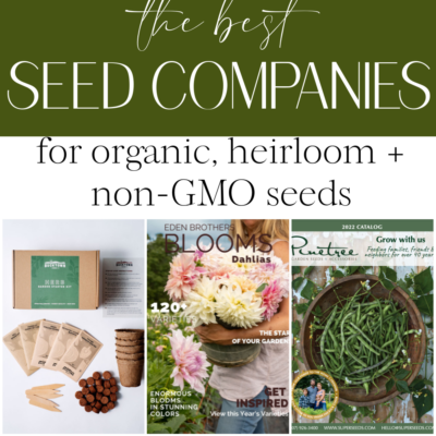 Best Seed Companies – not owned by Monsanto or Bayer