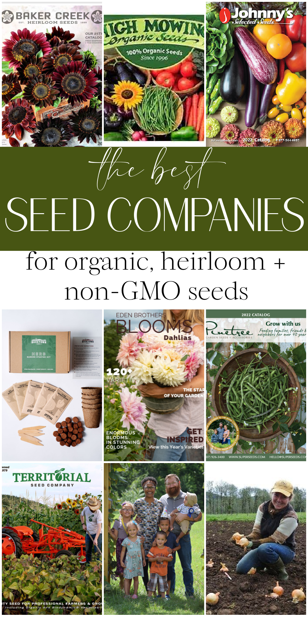 Best Seed Companies - not owned by Monsanto or Bayer - Christina Maria Blog