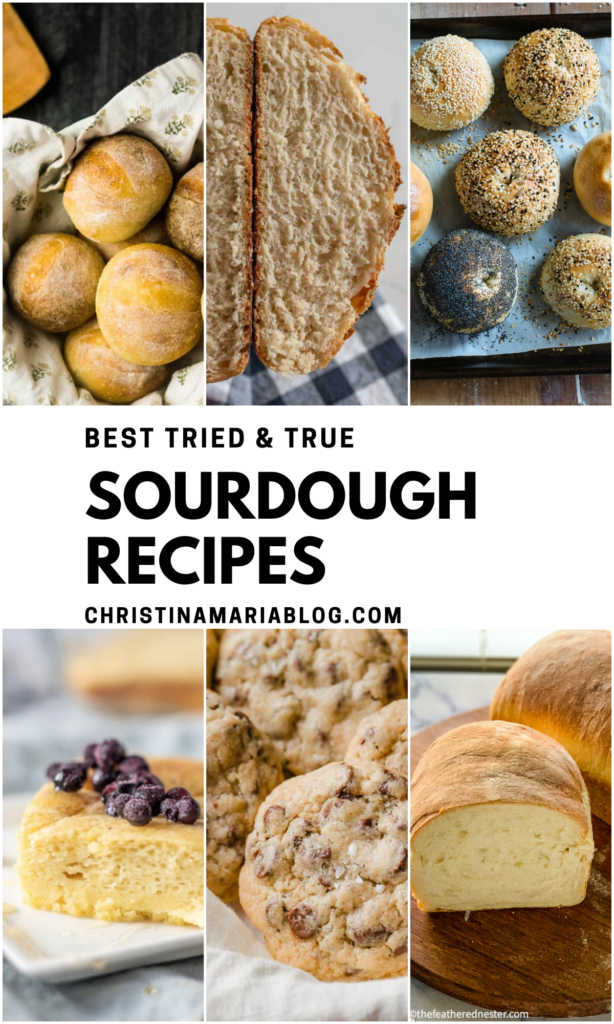 best sourdough recipes
